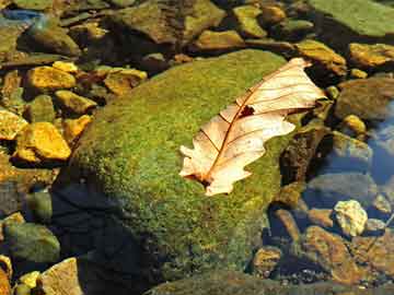 kaiyun官方-v6.2.5 版本 · 2025年5月17日